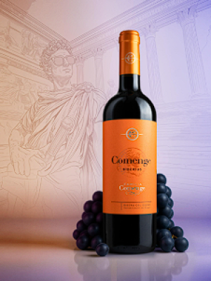 Captura de pantalla 2025-12-05 163817